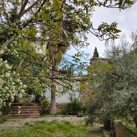 Ferienhaus Casa Palacio El Caballero De Malta *